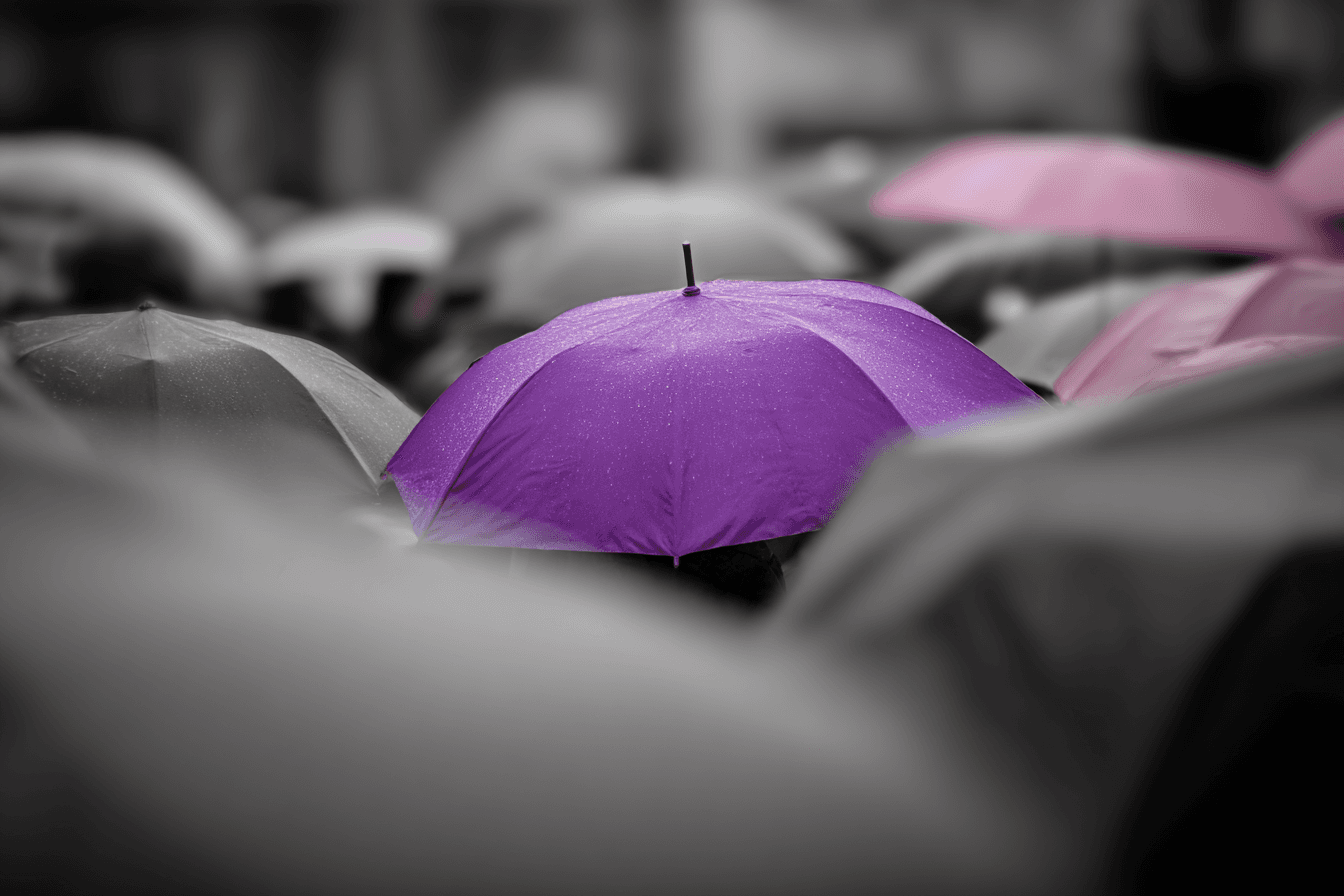 Selective Color Purple Umbrella Photo