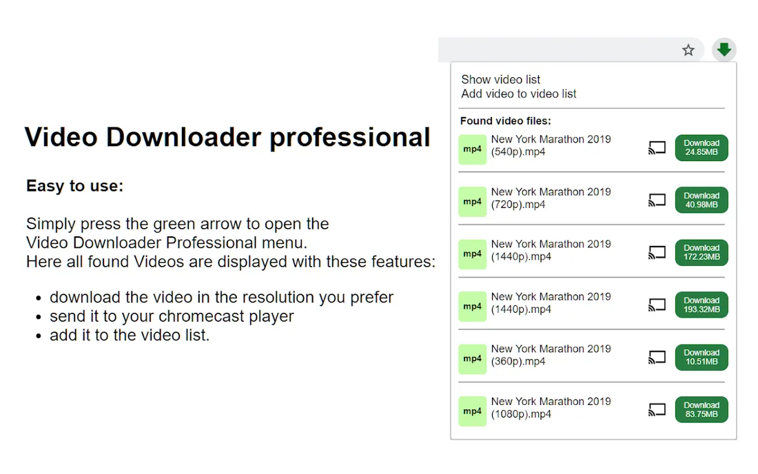 Video Downloader Professional: official promotional screenshot